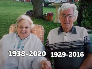 This image has an empty alt attribute; its file name is wp-16087564431838362851589121242464.jpg